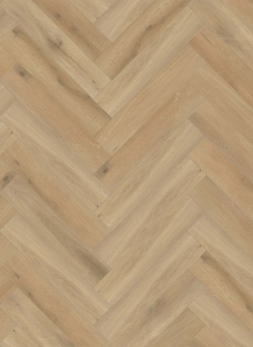 Callisto visgraat 5201 website formaat