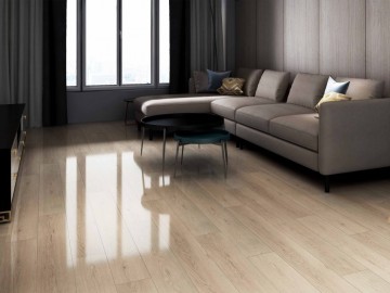 Dm307 luciano plank click 1024x768