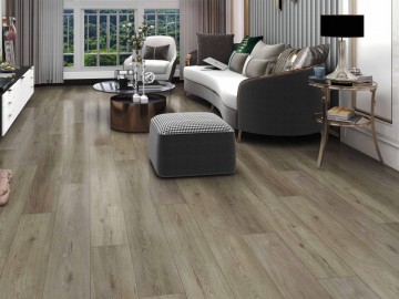 Dm310 sancy plank click 1024x768