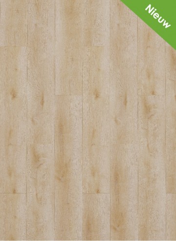 Dynamic   2500 nieuw 0