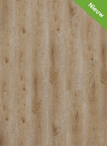 Dynamic   2501 nieuw