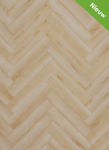 Dynamic visgraat   2600 nieuw