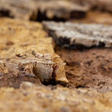Floer akukurk wandpanelen zandsteen natuur detail 2 455x455