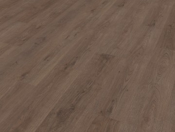 Monastro900perspectiveview