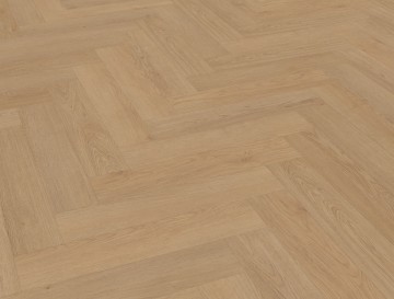 Monastrovisgraatxl93perspectiveview