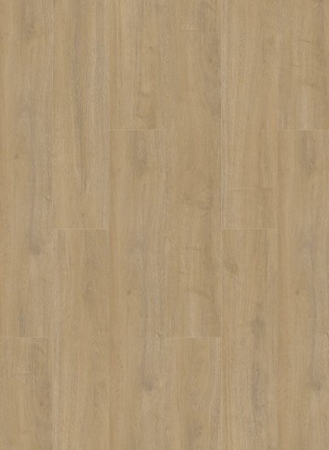 Oakland6100 7100decor