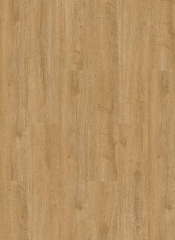 Oakland6101 7101decor