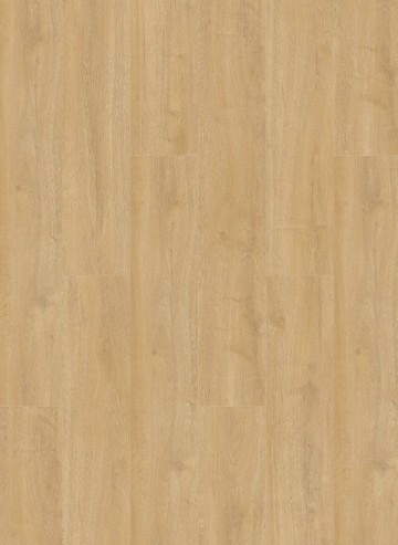 Oakland6102 7102decor