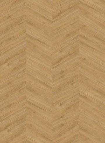 Oaklandspecial3701hongaars 398x545