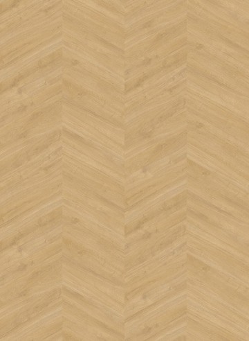 Oaklandspecial3702hongaars 398x545