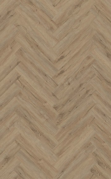 Og203brycecanyonvisgraat