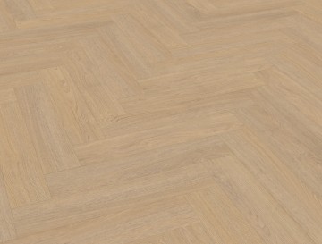 Terrenovisgraatxl61perspectiveview